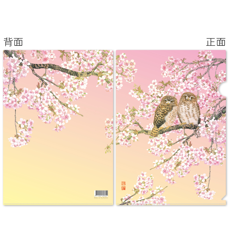 早春芳菲L資料夾